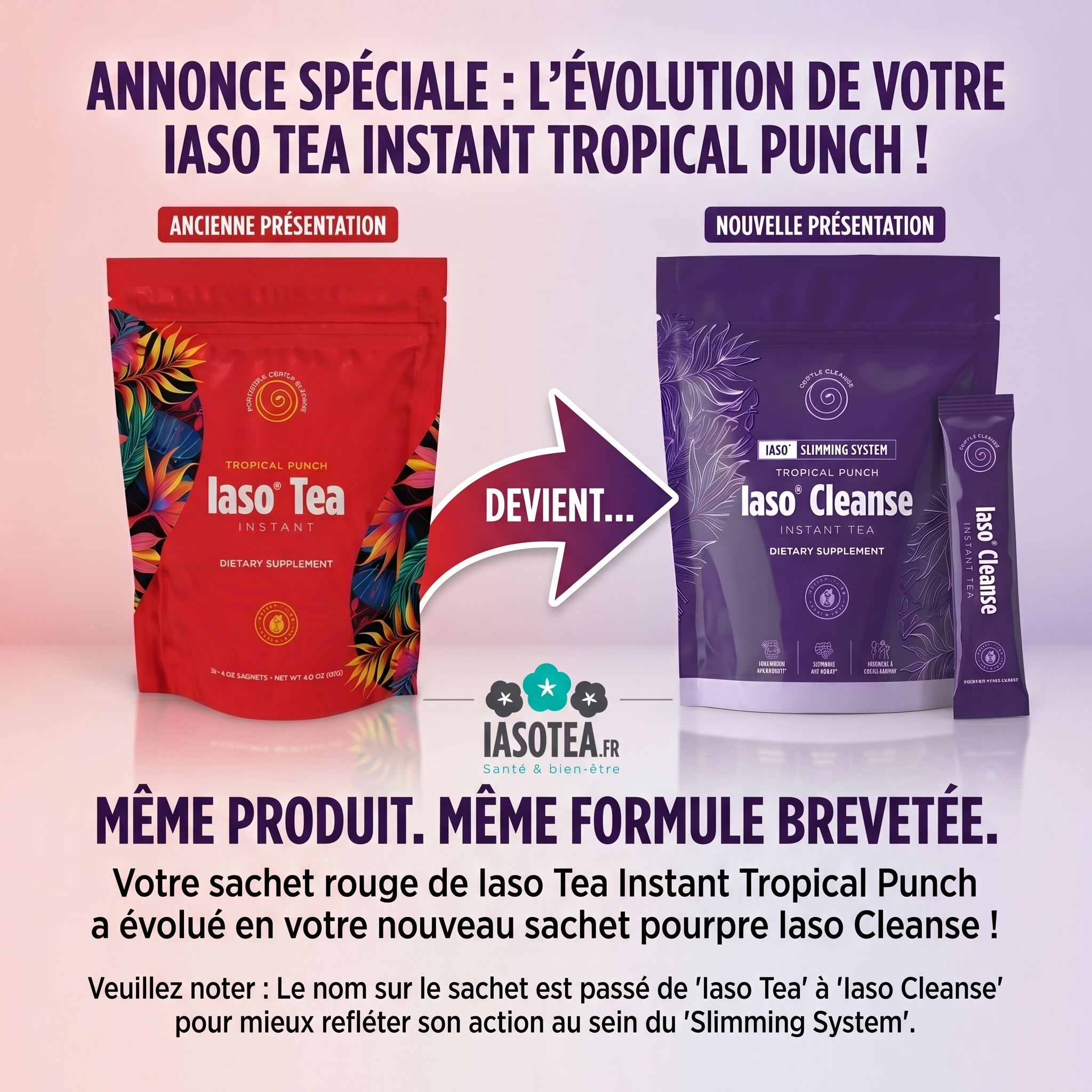 IASO TEA INSTANT « Tropical Punch Cleanse » : cure de 5 semaines – Image 2